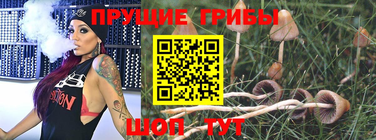 Реж  Галлюциногенные грибы Magic Shrooms  Вход с VPN 